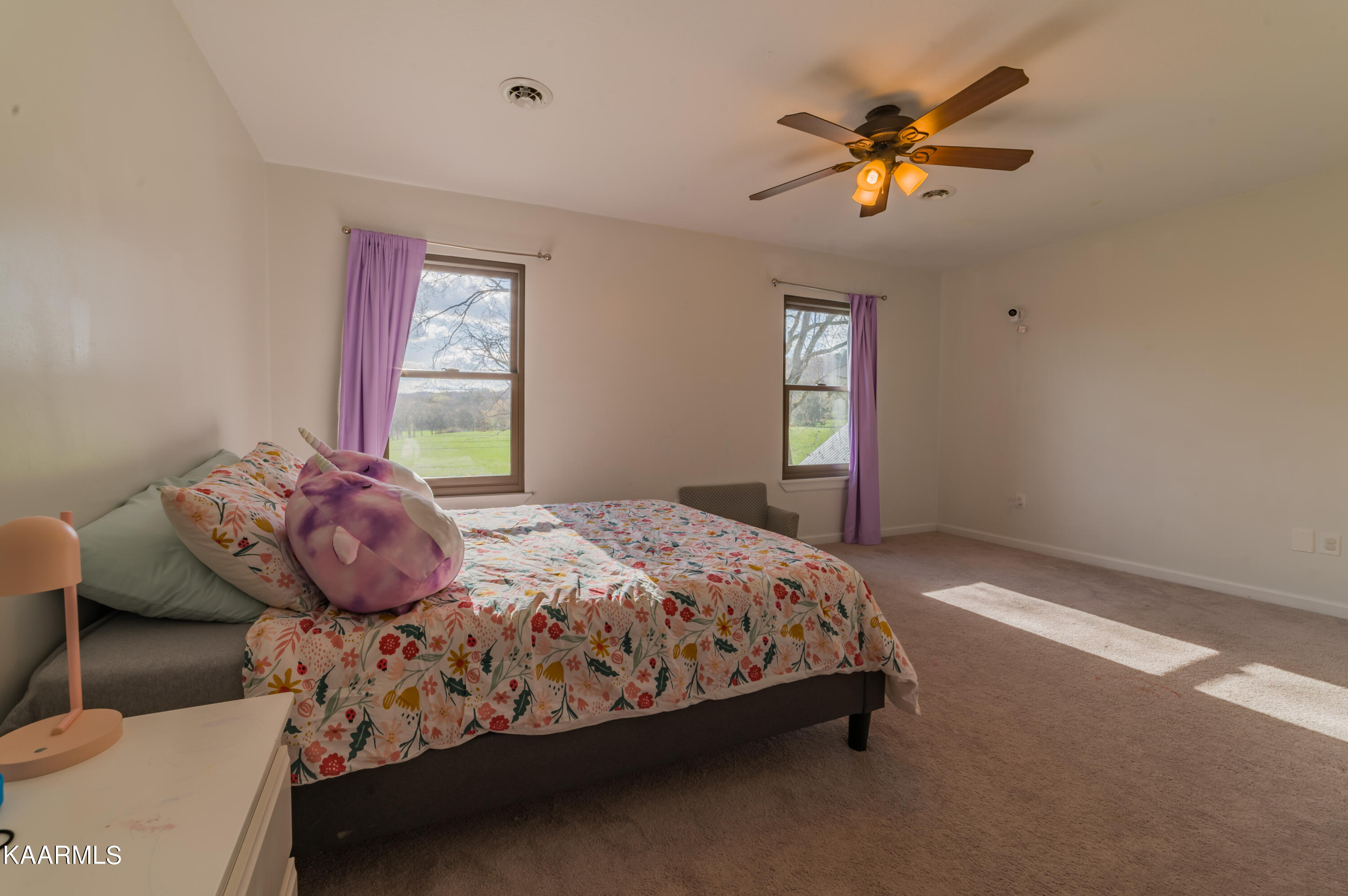 8451 Wood Road Corryton, TN 37721 - Photo 29 of 54 8451 Wood Rd-65225-HDR
