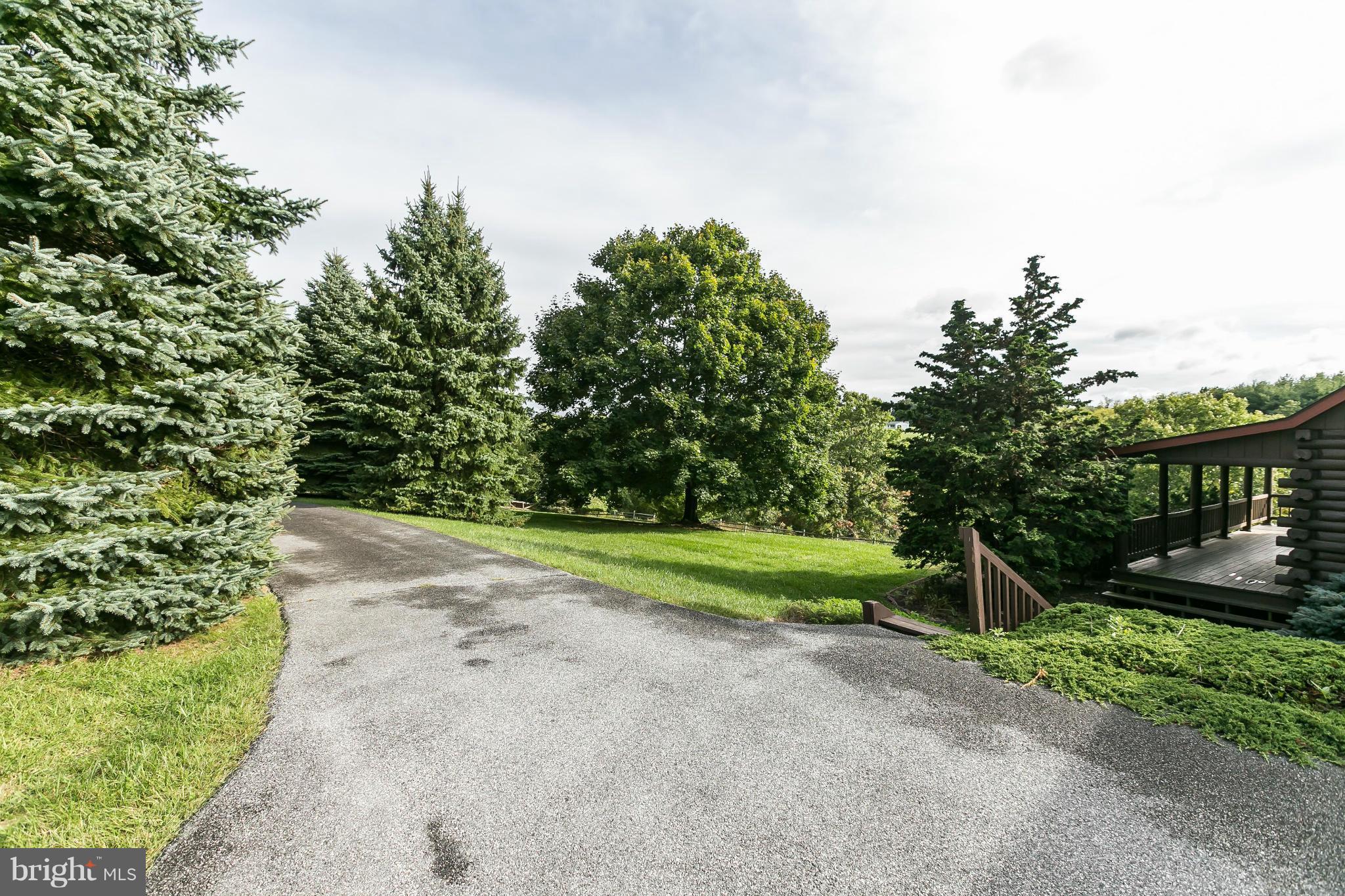 1725 Gablehammer Road Westminster, MD 21157 - Photo 4 of 30 a view of a yard with potted plants and large trees
