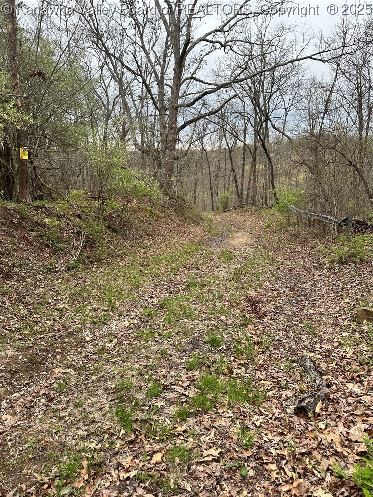 0 Pleasant View Road Huntington, WV 25701 - Photo 6 of 9 Gallery Image 6