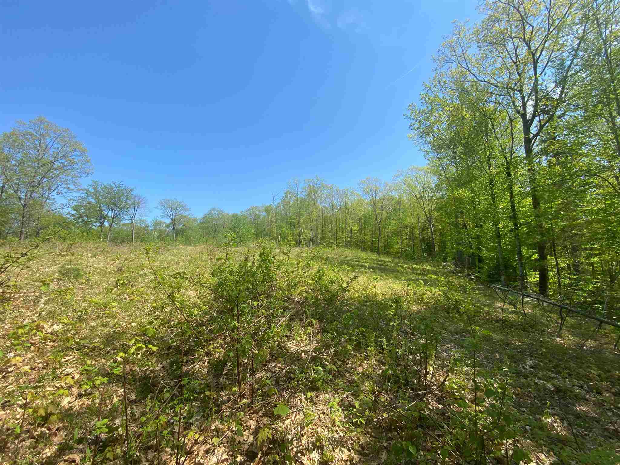 359 Nubanusit Road Nelson, NH 03457 - Photo 14 of 17 Gallery Image 14