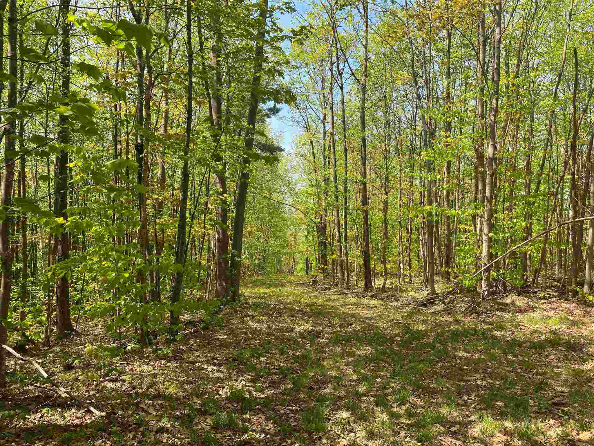 359 Nubanusit Road Nelson, NH 03457 - Photo 8 of 17 Gallery Image 8
