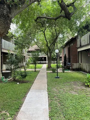 a view of a park with large trees and a pathway