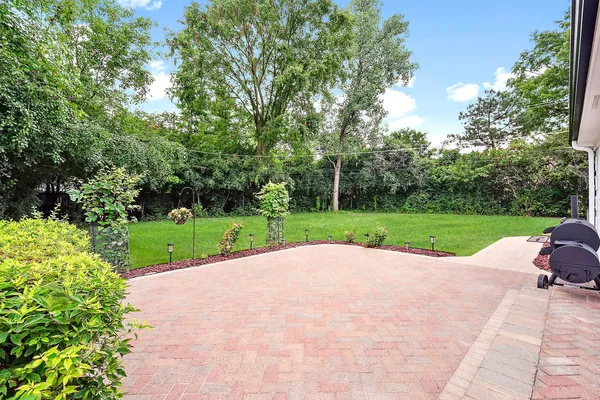 a view of a park with plants and trees