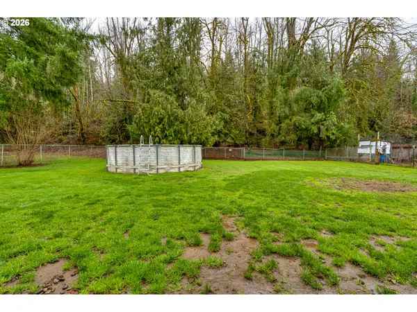 a view of a park with large trees