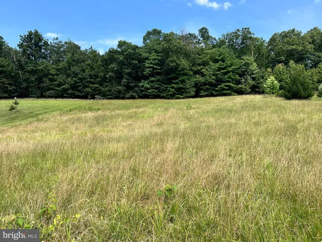 a view of a yard with a trees