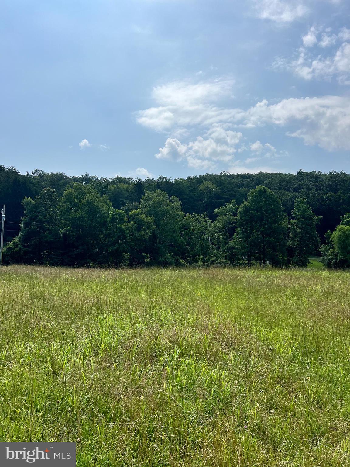 1620 Pisgah State Road Shermans Dale, PA 17090 - Photo 2 of 15 a view of a yard with an outdoor space