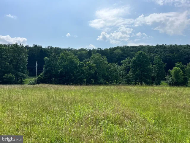 a view of yard and mountain view in back