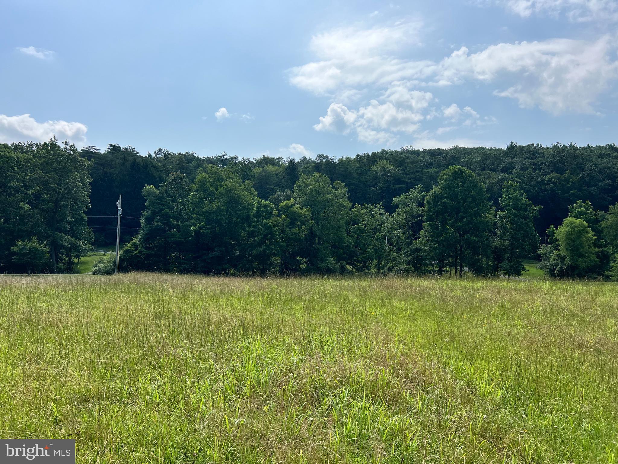 1620 Pisgah State Road Shermans Dale, PA 17090 - Photo 3 of 15 a view of yard and mountain view in back