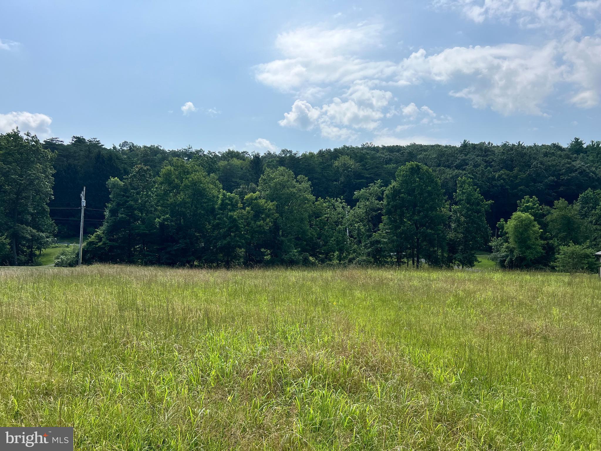 1620 Pisgah State Road Shermans Dale, PA 17090 - Photo 5 of 15 a view of outdoor space and yard