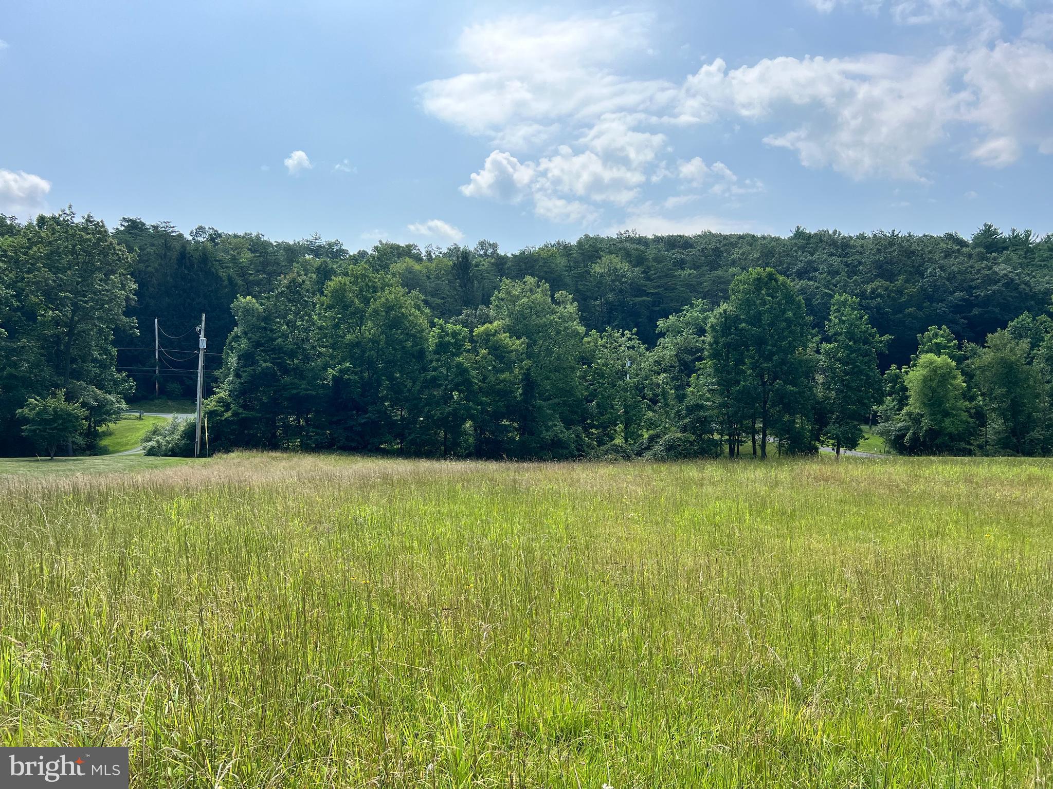 1620 Pisgah State Road Shermans Dale, PA 17090 - Photo 6 of 15 a view of outdoor space and yard