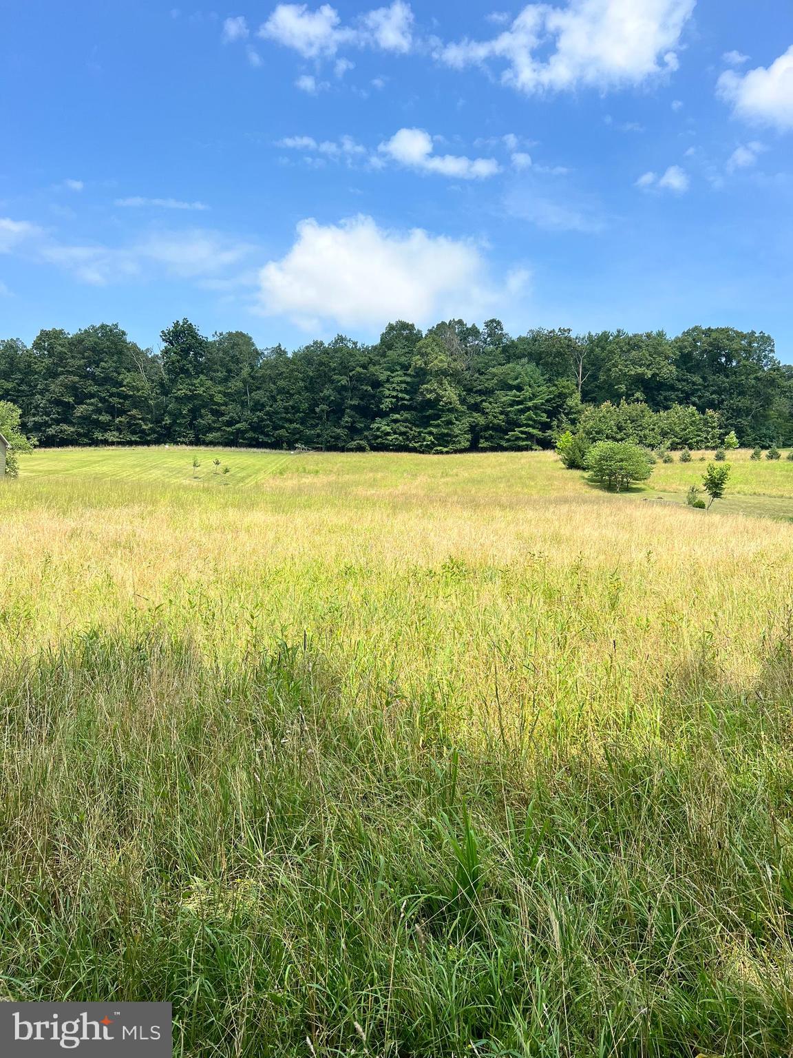 1620 Pisgah State Road Shermans Dale, PA 17090 - Photo 7 of 15 a view of an ocean and a mountain