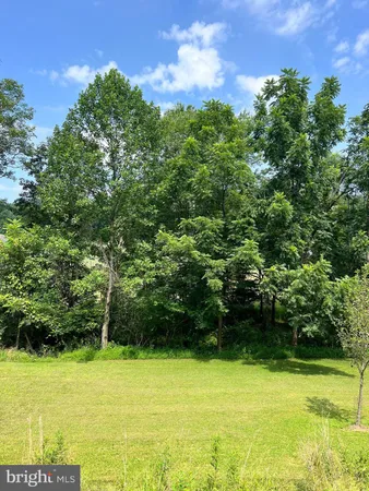 a view of a lake with a yard