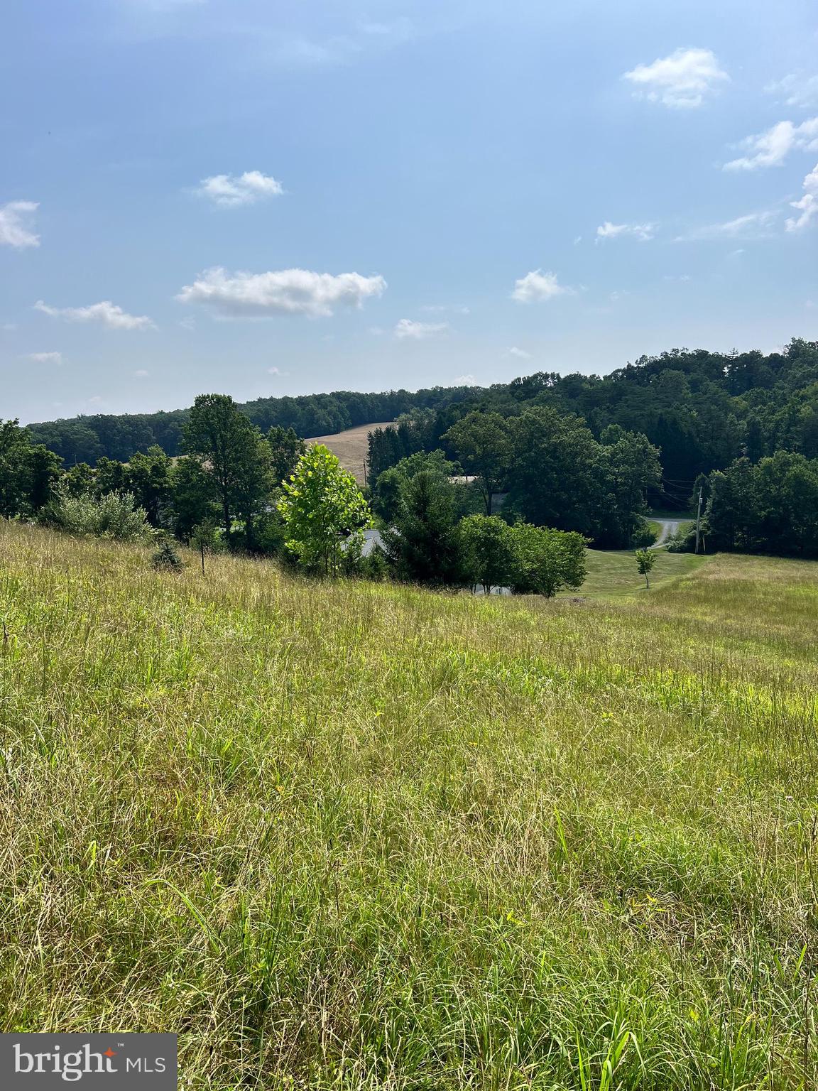 1620 Pisgah State Road Shermans Dale, PA 17090 - Photo 10 of 15 a view of a lake with a yard
