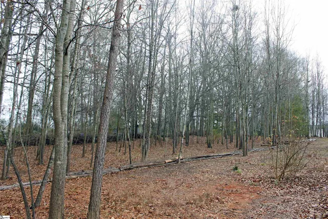 $380,000 | 40 A Dendy Street, Pelzer, SC 29669