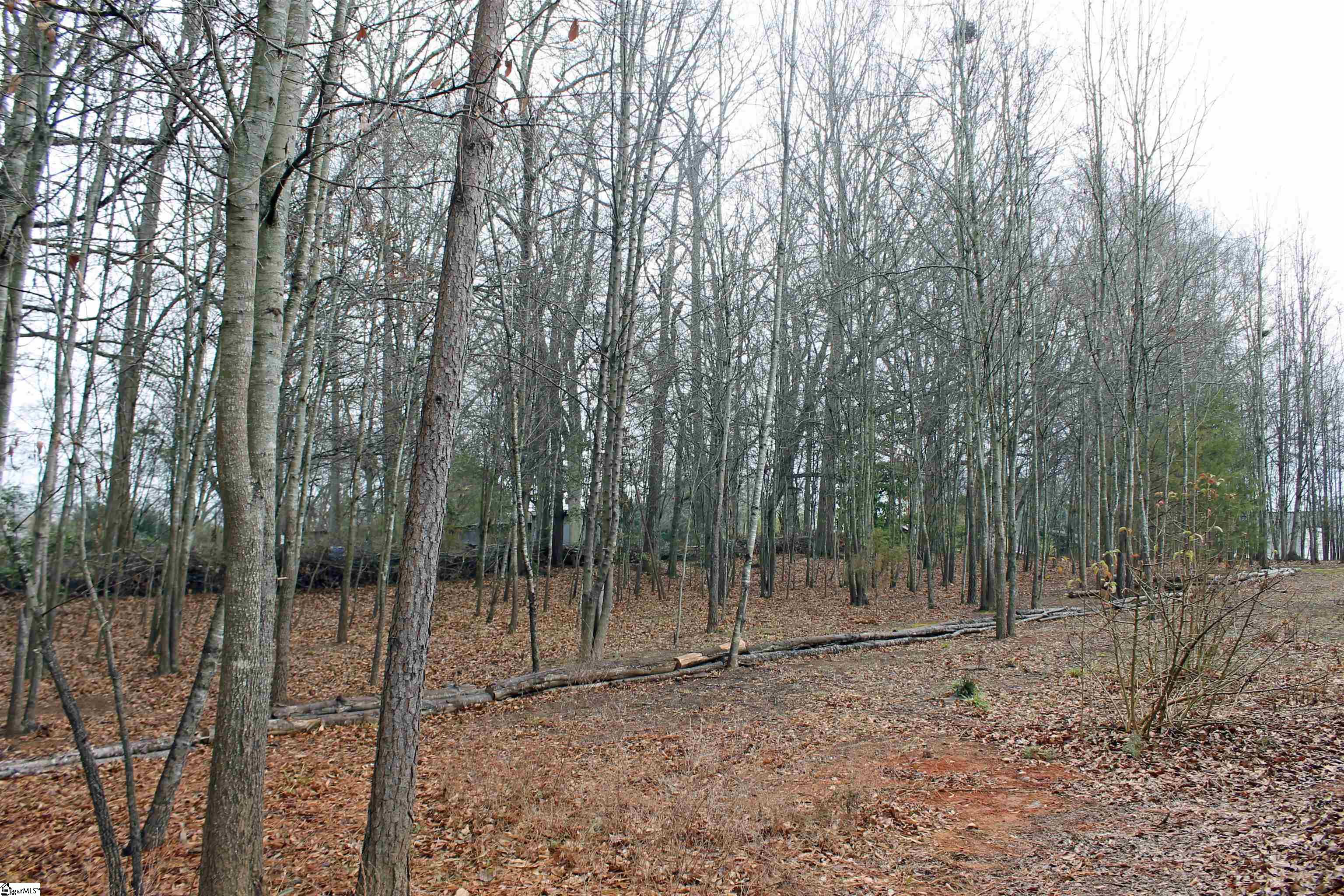 40 A Dendy Street Pelzer, SC 29669 - Photo 32 of 34