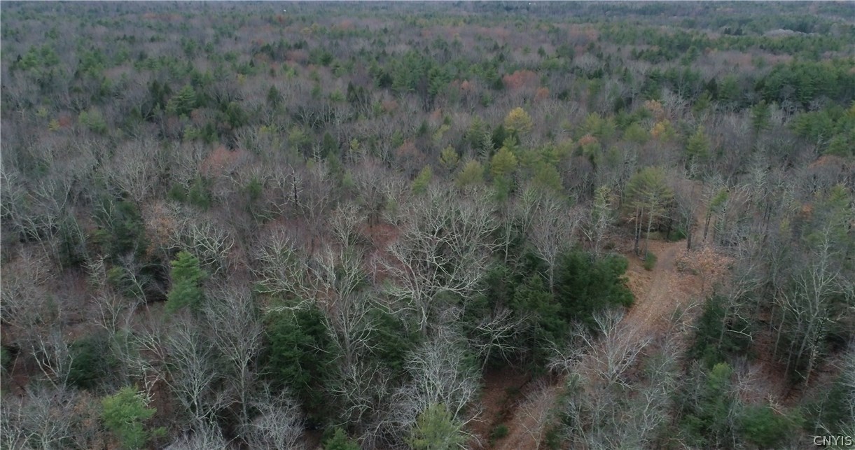 8-acres George Sickle Road Saugerties, NY 12477 - Photo 1 of 1 Gallery Image 1