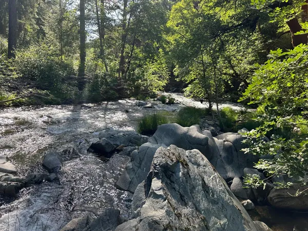 $294,500 | 18635 State Rte 26, Glencoe, CA 95232