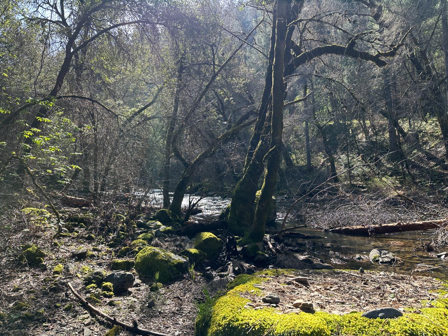 18635 State Rte 26 Glencoe, CA 95232 - Photo 11 of 14