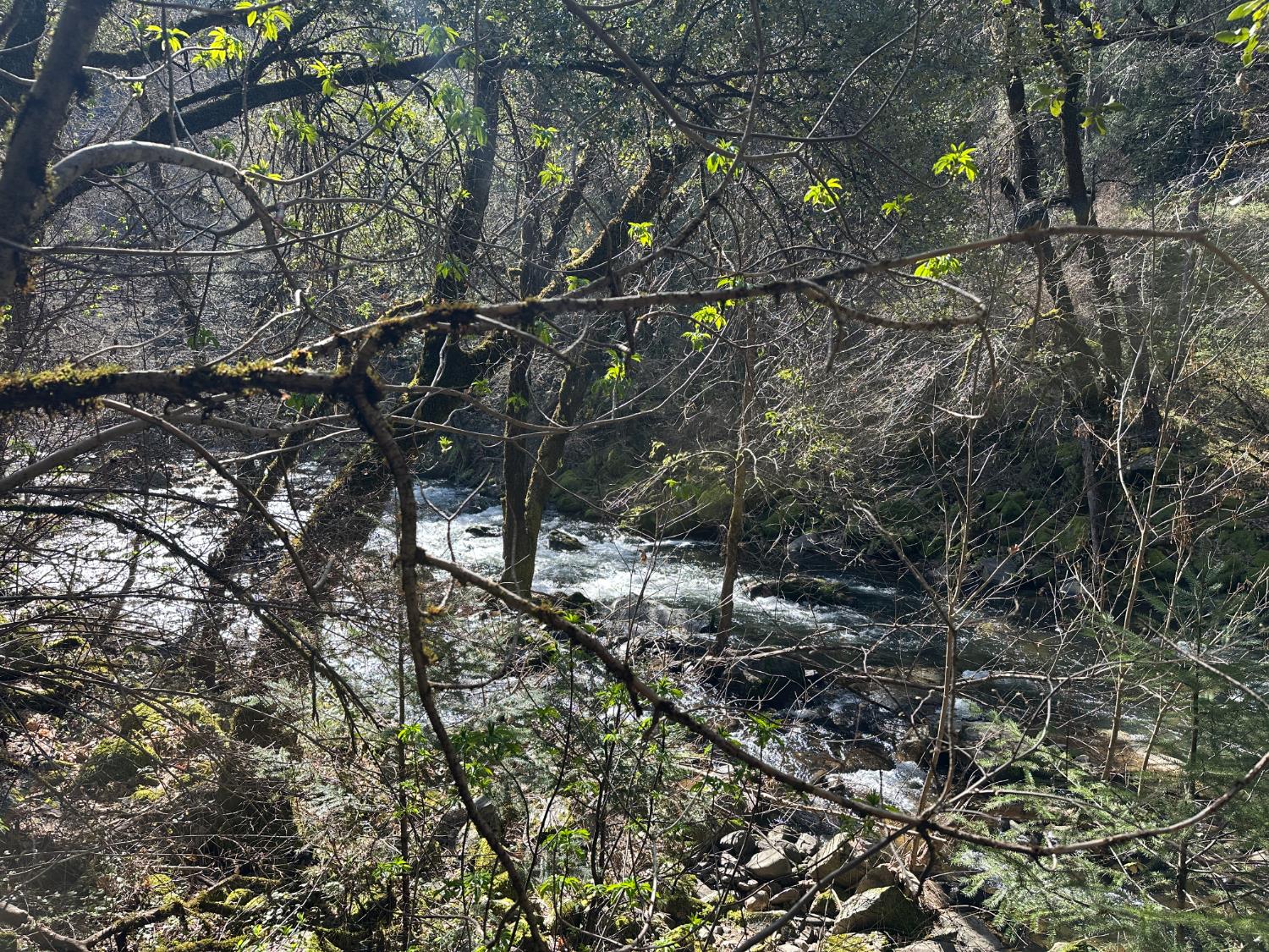 18635 State Rte 26 Glencoe, CA 95232 - Photo 12 of 14