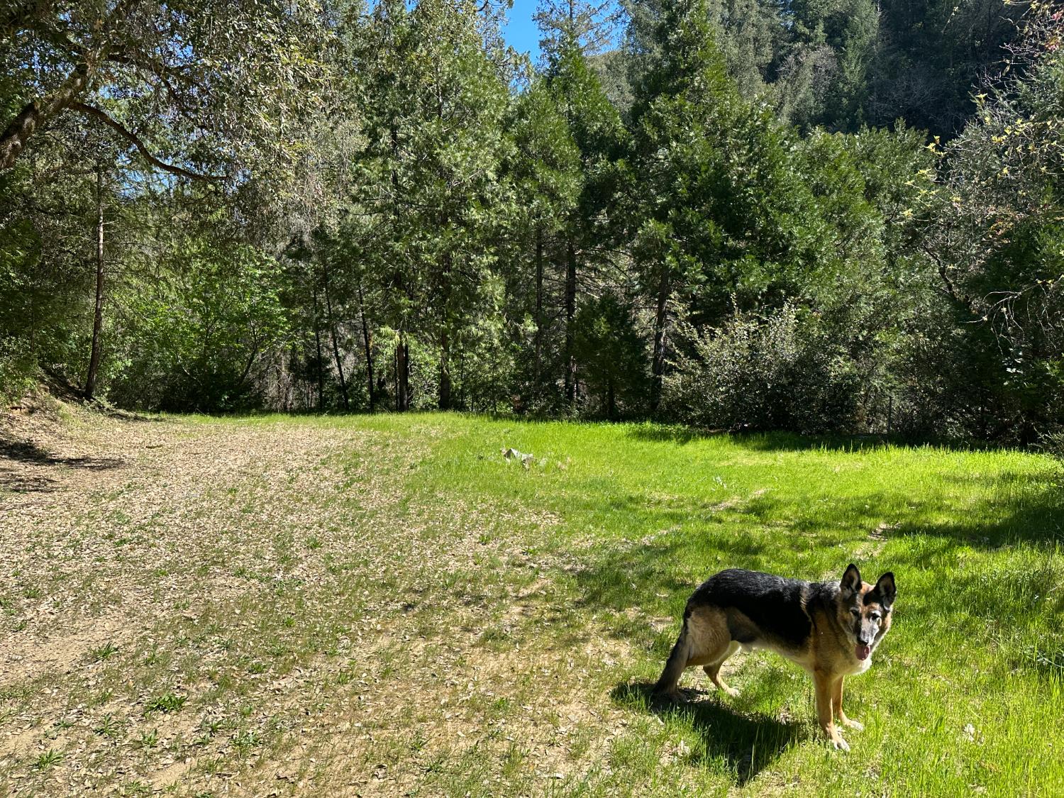 18635 State Rte 26 Glencoe, CA 95232 - Photo 14 of 14