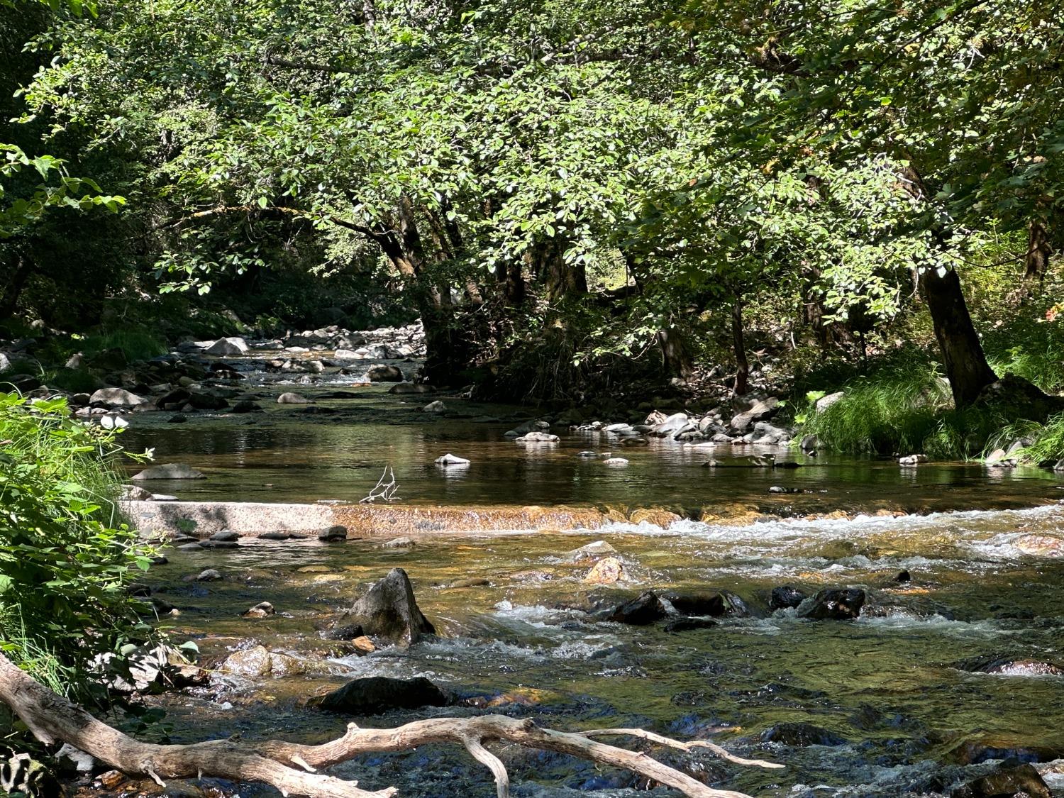 18635 State Rte 26 Glencoe, CA 95232 - Photo 3 of 14