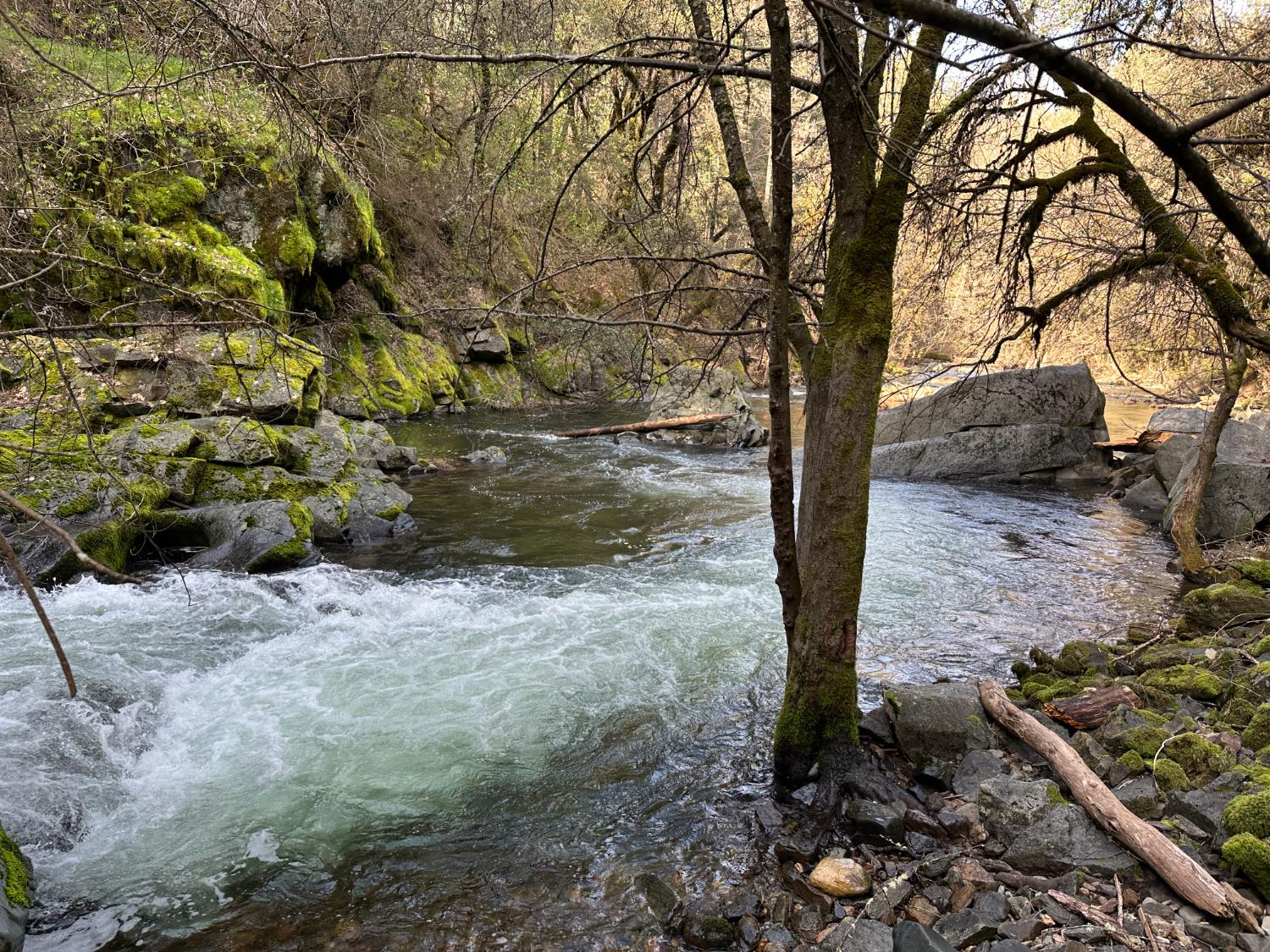 18635 State Rte 26 Glencoe, CA 95232 - Photo 4 of 14