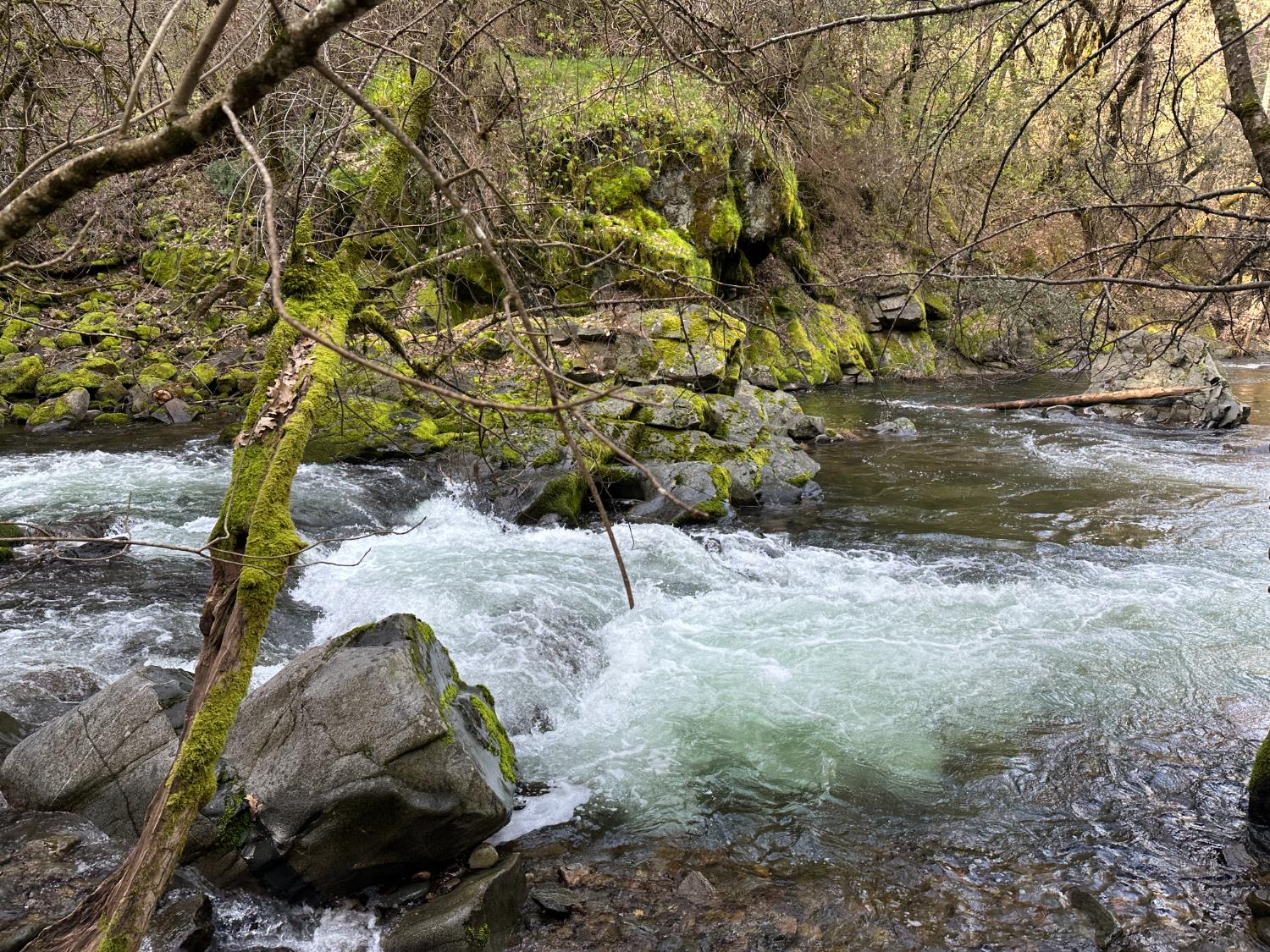 18635 State Rte 26 Glencoe, CA 95232 - Photo 5 of 14