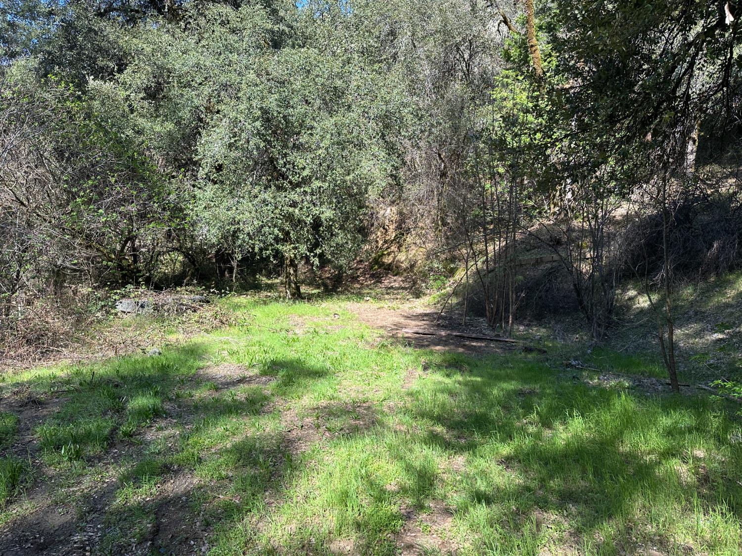 18635 State Rte 26 Glencoe, CA 95232 - Photo 7 of 14