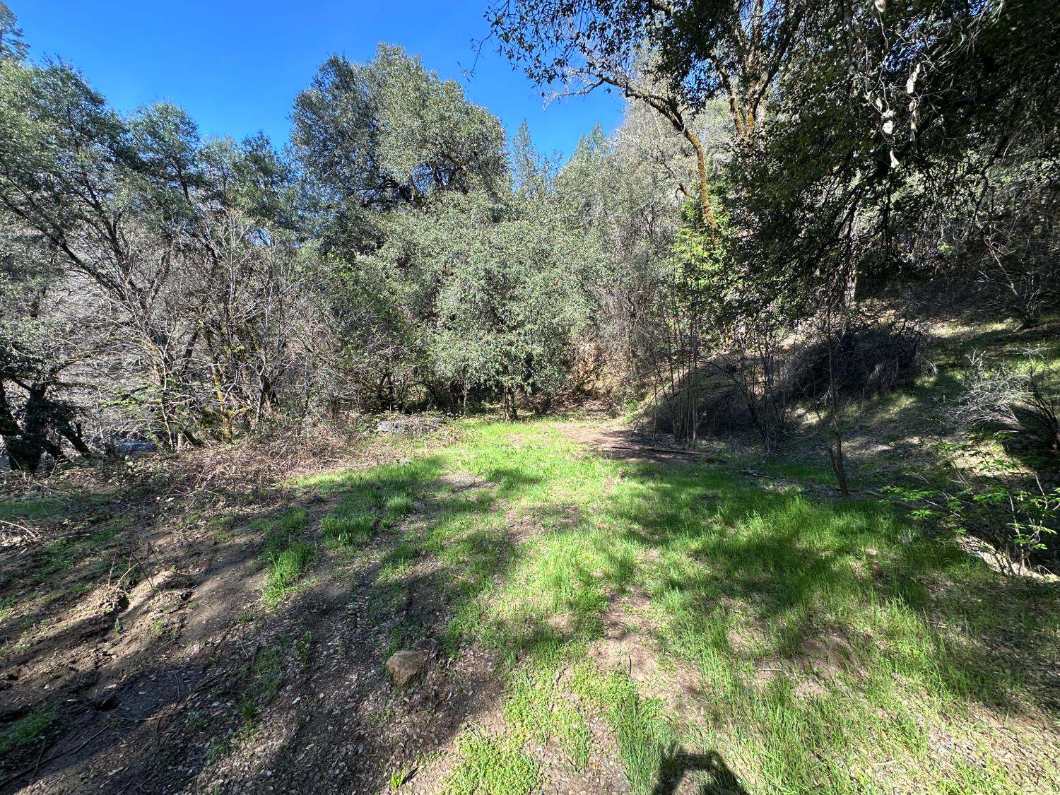 18635 State Rte 26 Glencoe, CA 95232 - Photo 8 of 14