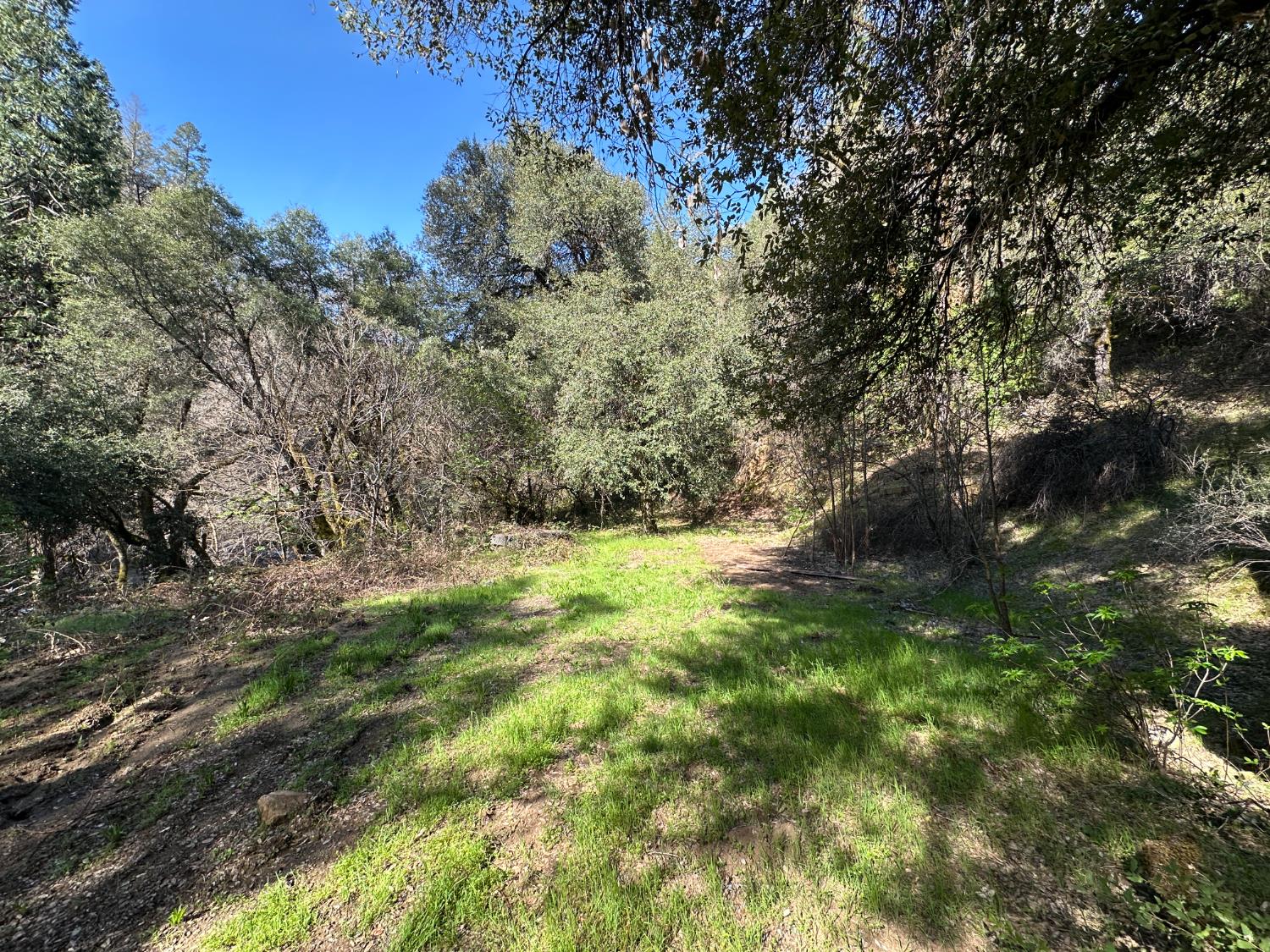 18635 State Rte 26 Glencoe, CA 95232 - Photo 9 of 14