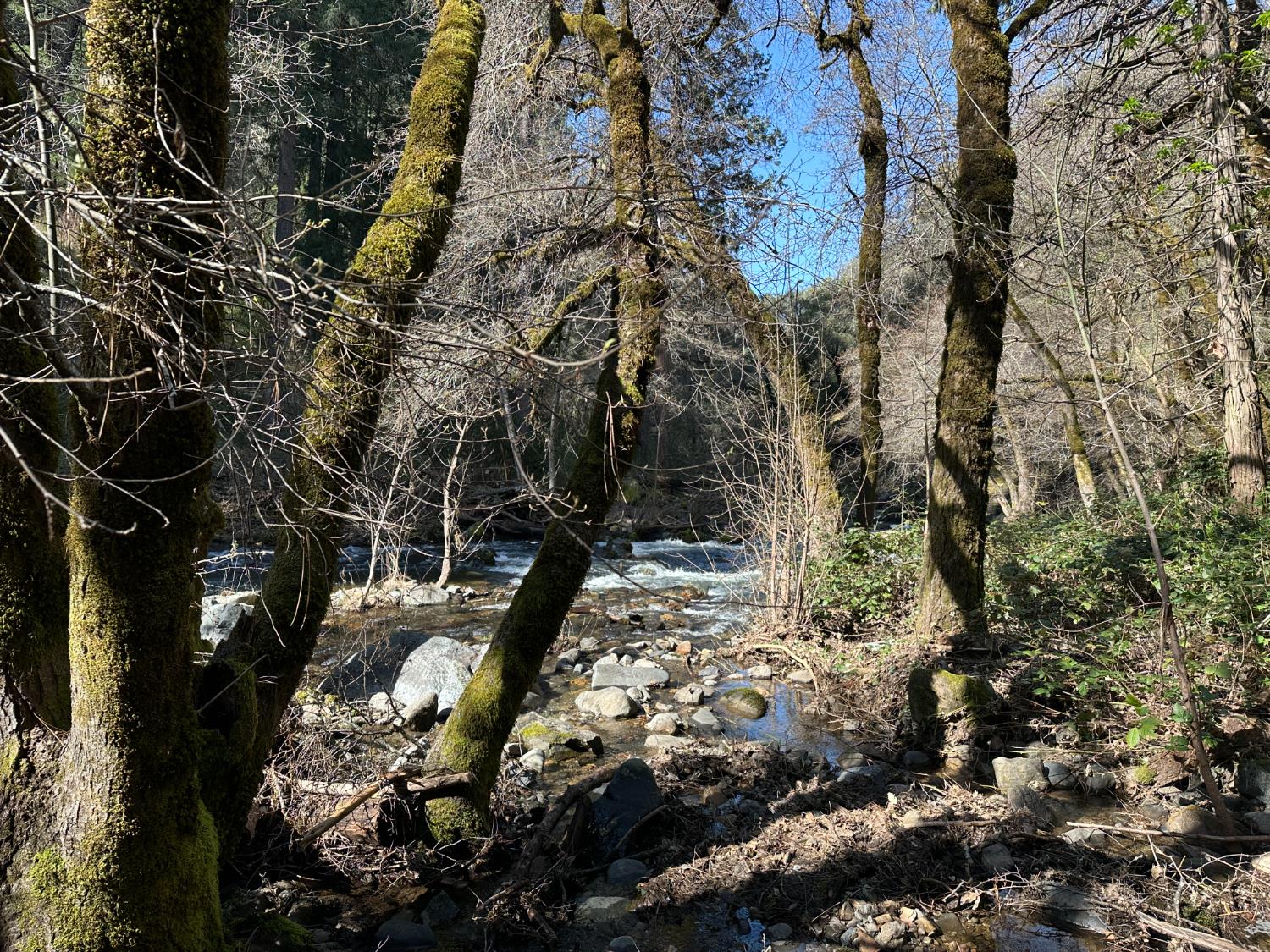 18635 State Rte 26 Glencoe, CA 95232 - Photo 10 of 14