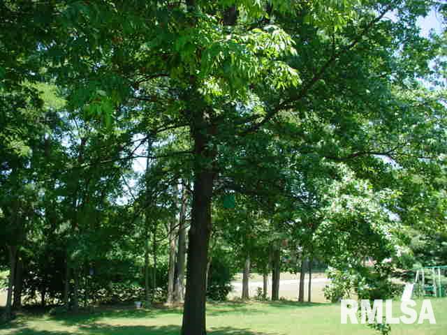 3019 Cabot Road Quincy, IL 62301 - Photo 6 of 6 Gallery Image 6