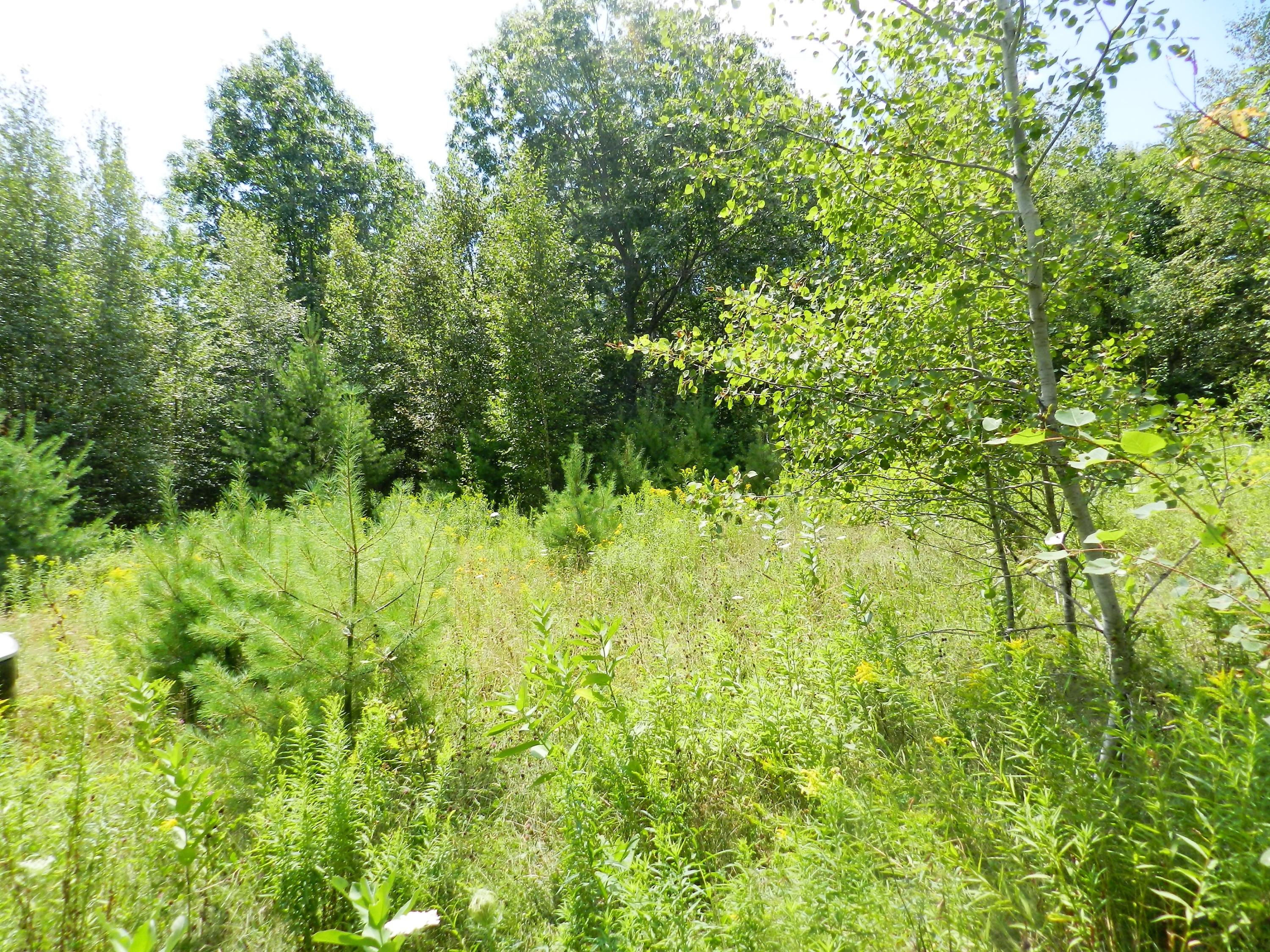 579 West Etna Road Etna, ME 04434 - Photo 5 of 10 5