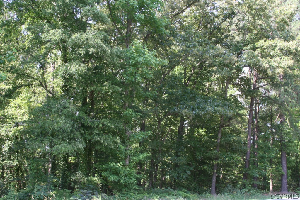 0 Wistar Road Henrico, VA 23228 - Photo 1 of 1 Gallery Image 1