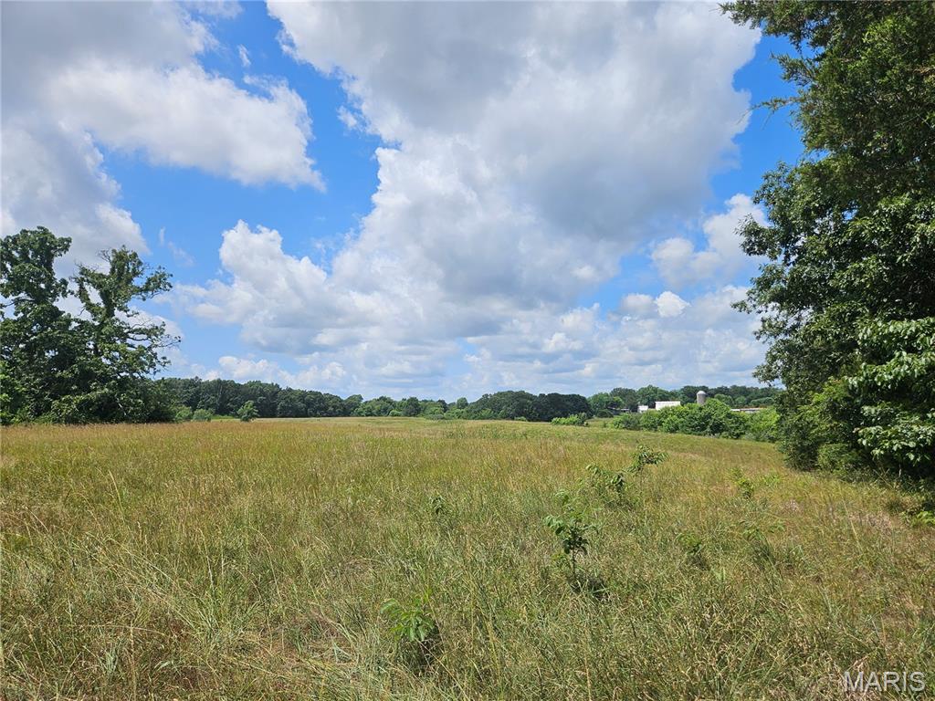 0 Misty Road Pinckneyville, IL 62274 - Photo 2 of 25