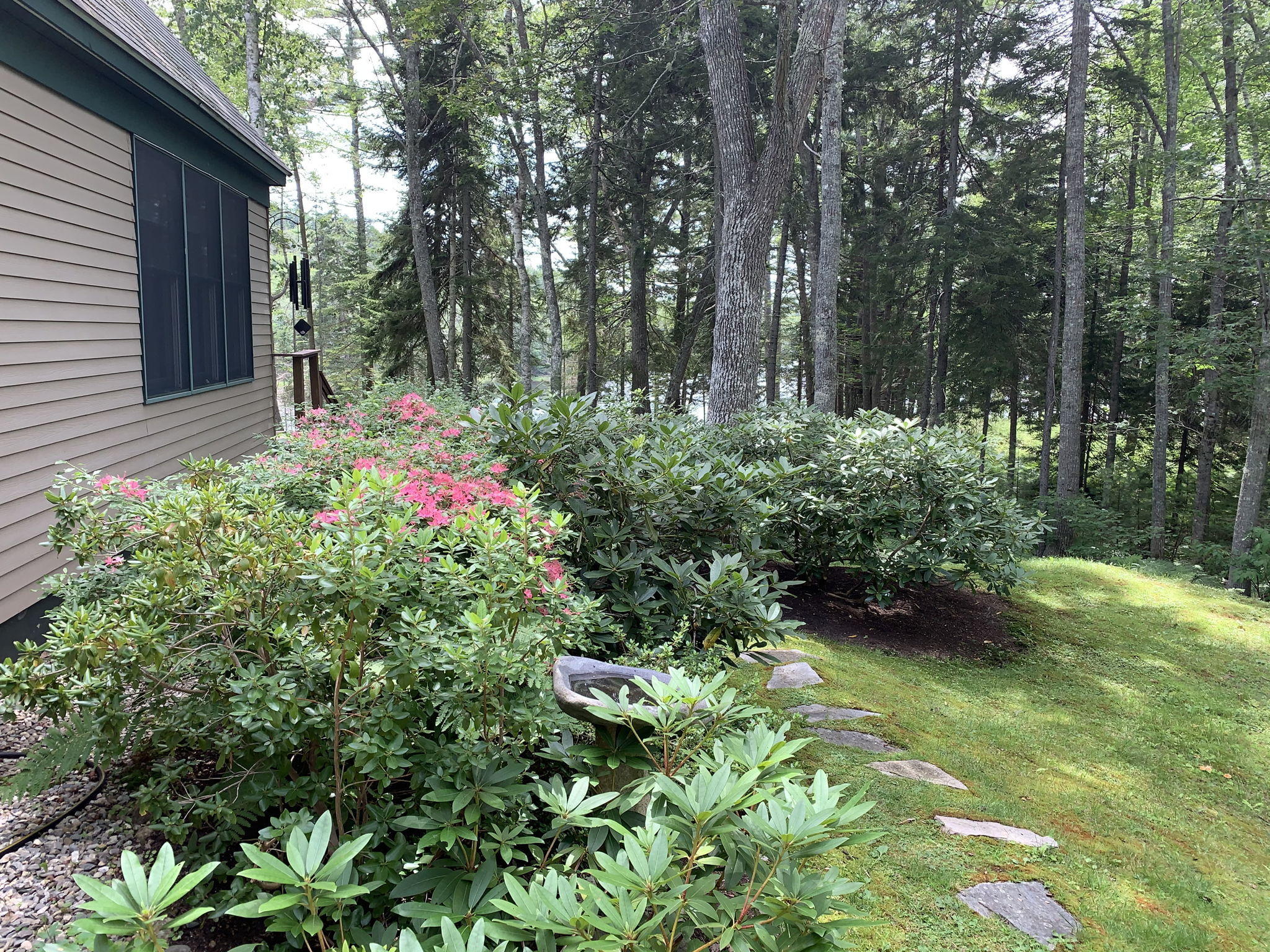 28 Beaver Run Way Boothbay, ME 04537 - Photo 69 of 90 Landscaping & Water Views Through Woods