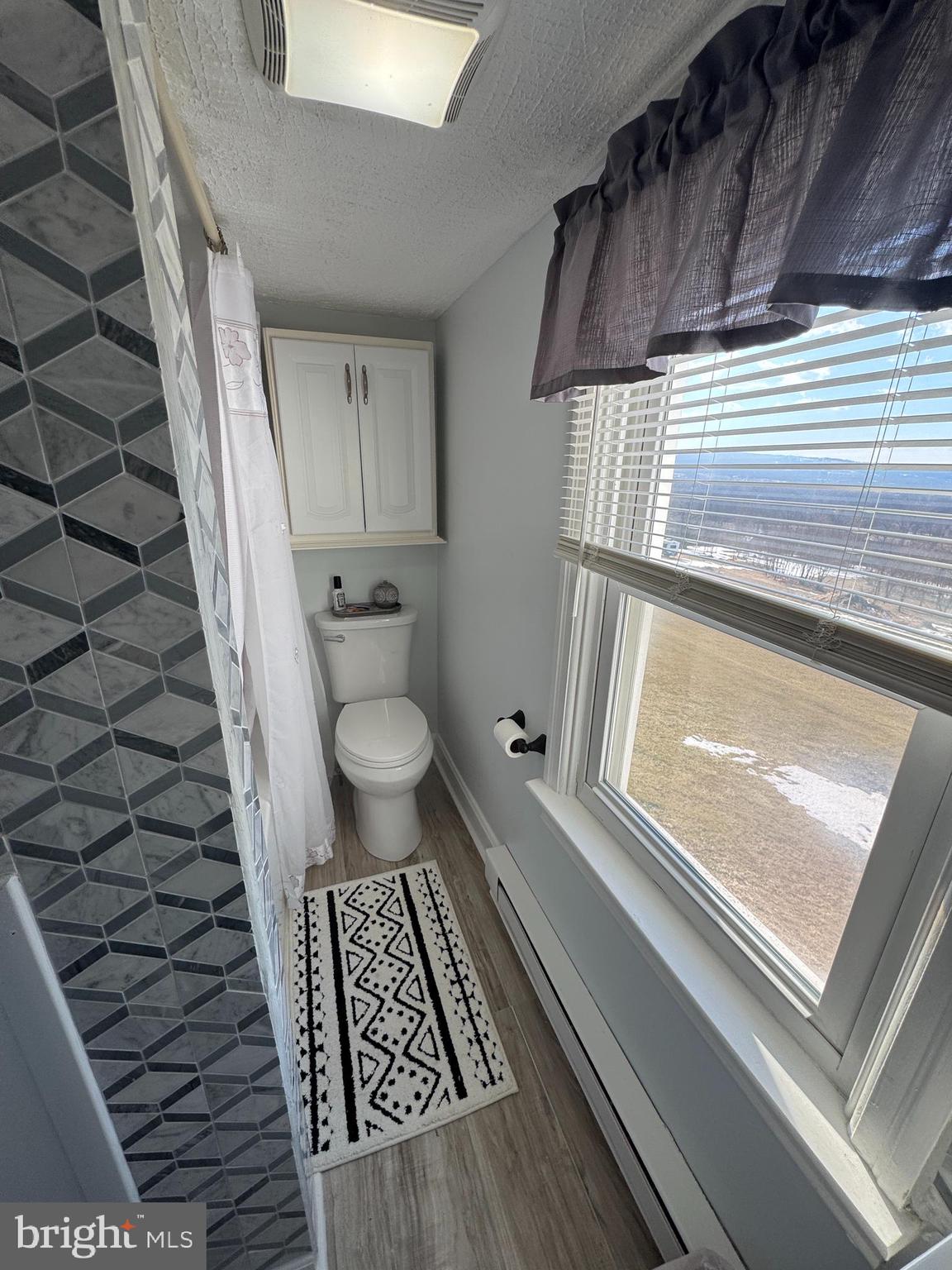 6226 Clevelandtown Road Boonsboro, MD 21713 - Photo 23 of 49 Full Bathroom