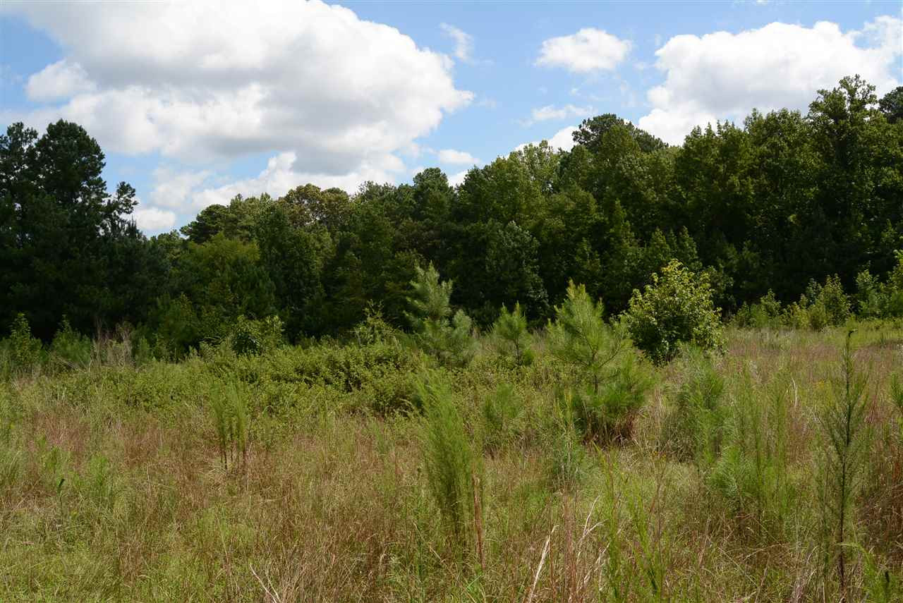 3133 Burlington Mills Road Wake Forest, NC 27587 - Photo 14 of 17 Photo 14