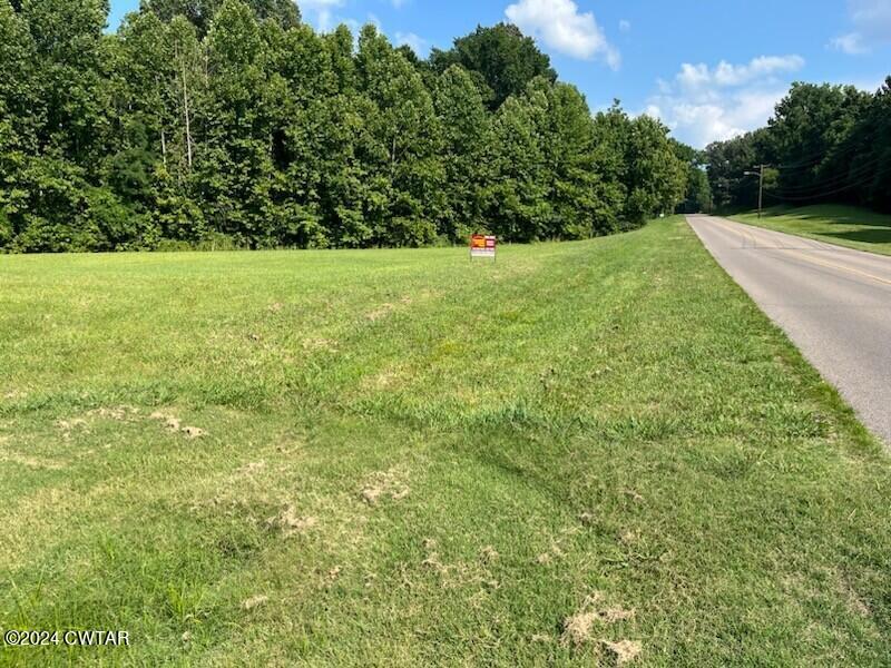 0 Lake Drive Ripley, TN 38063 - Photo 3 of 5 a view of green field with trees in the background