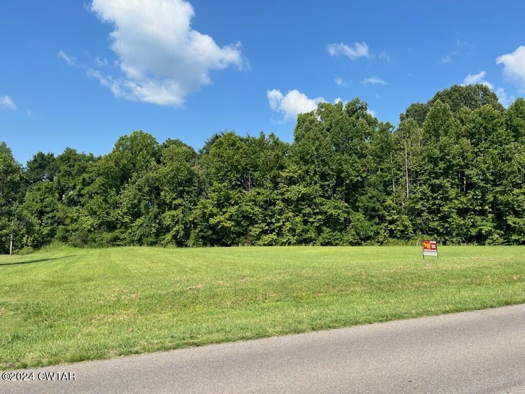 0 Lake Drive Ripley, TN 38063 - Photo 4 of 5 a view of a grassy field with trees in the background