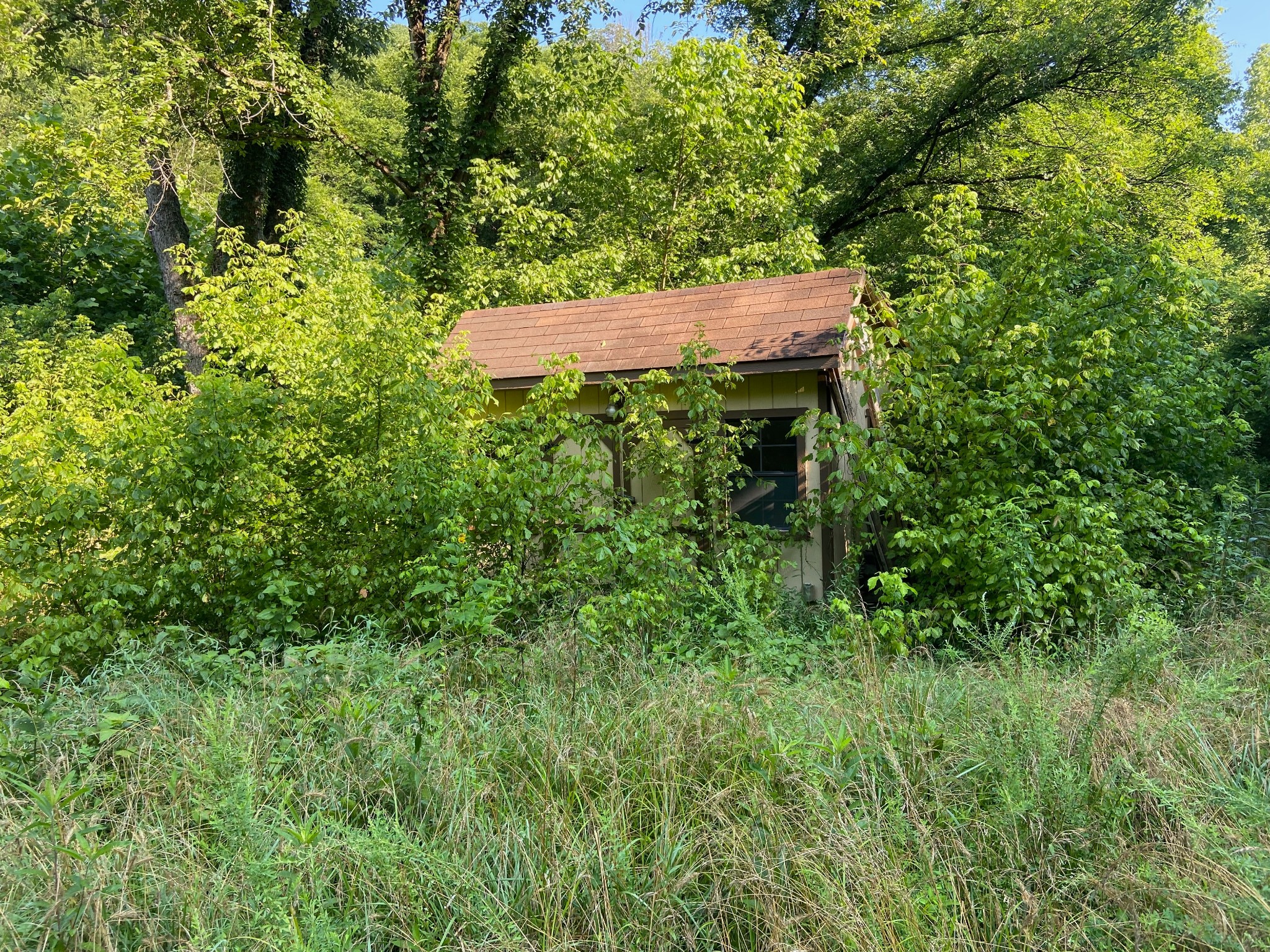 3147 Dale Ridge Road Liberty, TN 37095 - Photo 11 of 16