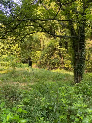 $239,900 | 3147 Dale Ridge Road, Liberty, TN 37095