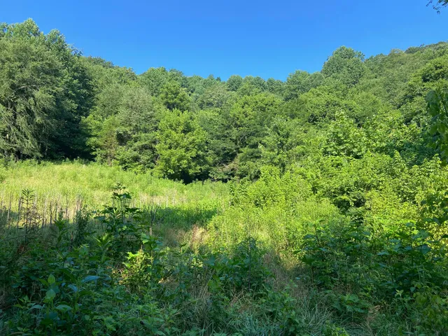 $239,900 | 3147 Dale Ridge Road, Liberty, TN 37095