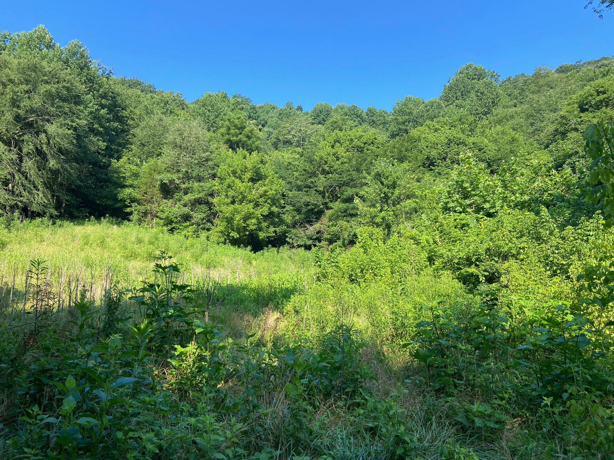 3147 Dale Ridge Road Liberty, TN 37095 - Photo 14 of 16