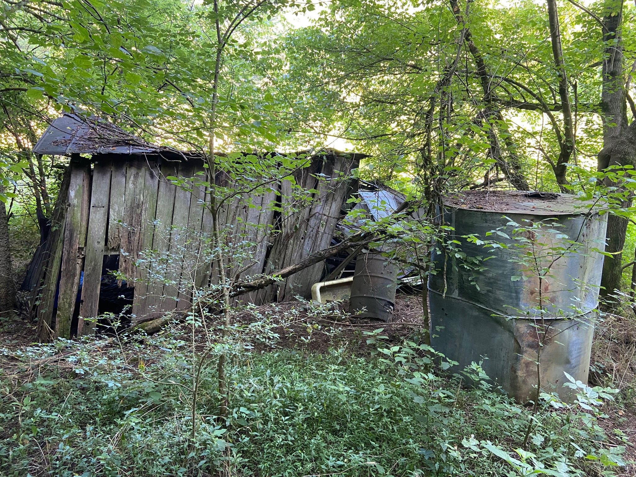 3147 Dale Ridge Road Liberty, TN 37095 - Photo 15 of 16