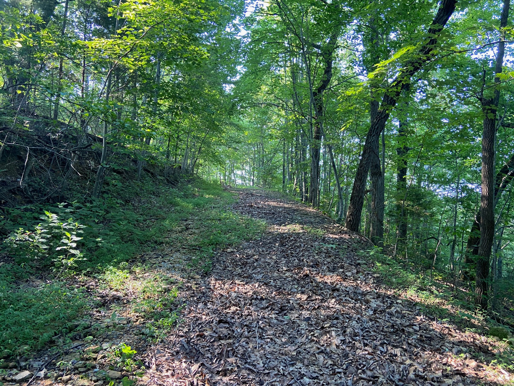 3147 Dale Ridge Road Liberty, TN 37095 - Photo 2 of 16