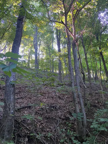 $239,900 | 3147 Dale Ridge Road, Liberty, TN 37095