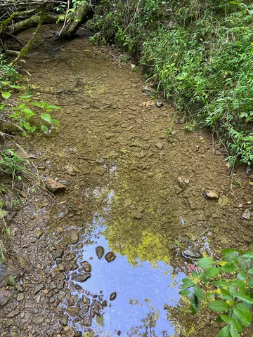 $239,900 | 3147 Dale Ridge Road, Liberty, TN 37095