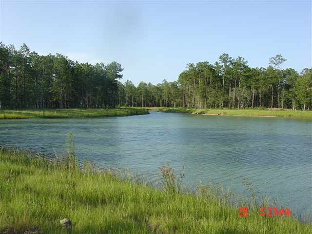 Lot 232 Chamberlin Road Myrtle Beach, SC 29588 - Photo 2 of 10 Gallery Image 2
