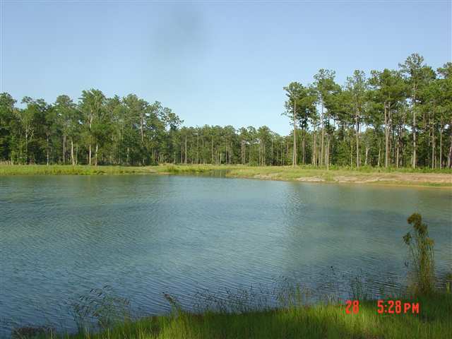 Lot 232 Chamberlin Road Myrtle Beach, SC 29588 - Photo 3 of 10 Gallery Image 3